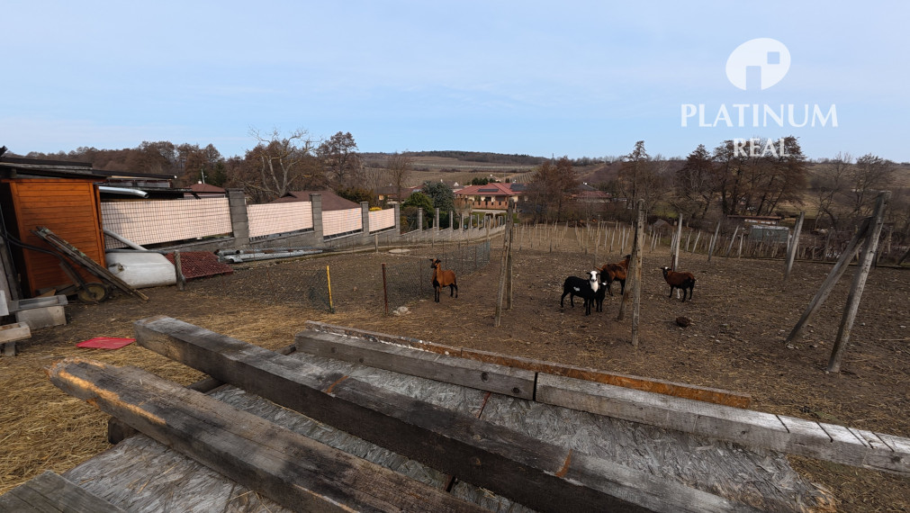 Dvojgeneračný rodinný dom s veľkým pozemkom - Vinosady