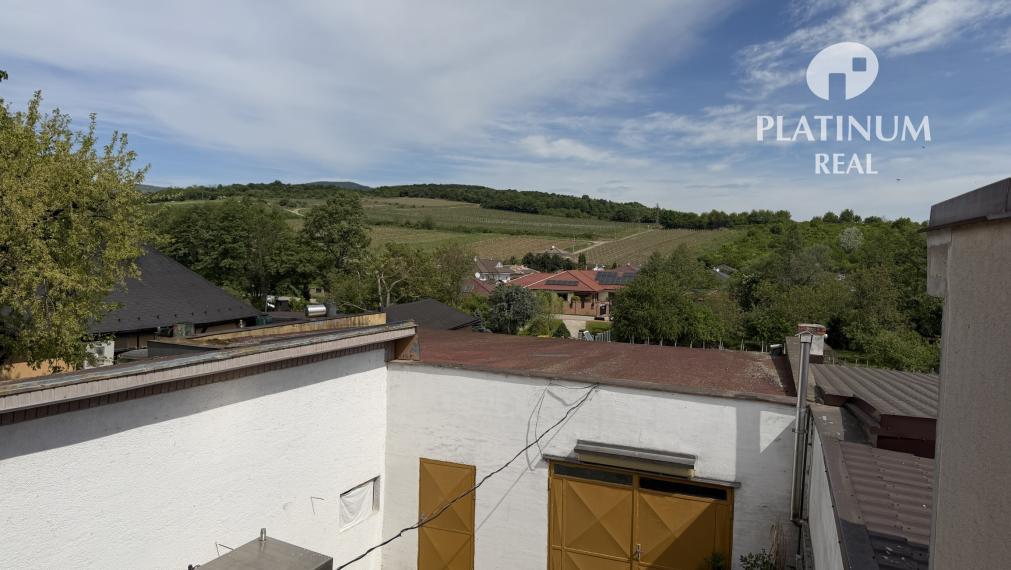 Rodinný dom s väčším pozemkom - Vinosady
