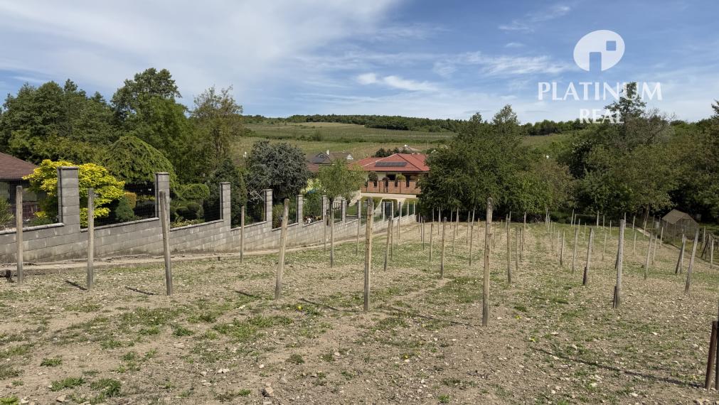 Rodinný dom s väčším pozemkom - Vinosady